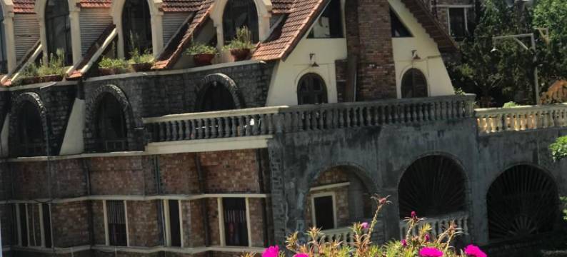 大叻三色堇酒店(Hotel Pansy)图片