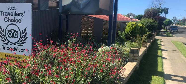 绵羊汽车旅馆(Jumbuck Motor Inn)图片