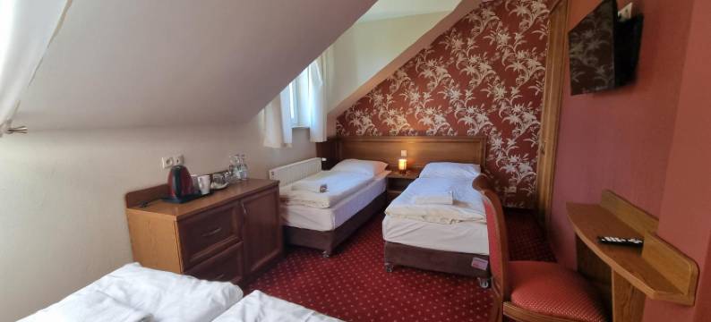 卢卡宫酒店(Rezydencja Pałac Lucja BB)图片