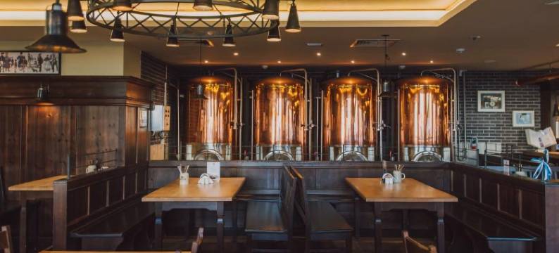 皮特尔酒店(Piter Inn Petrozavodsk)图片