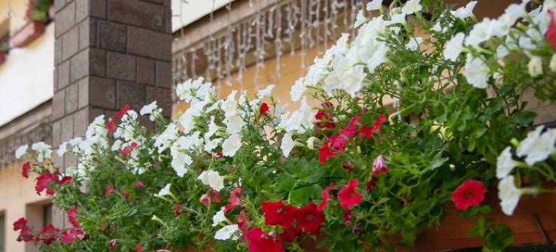 Les&Park (Forest and Park, ex.The Edge of the World)图片