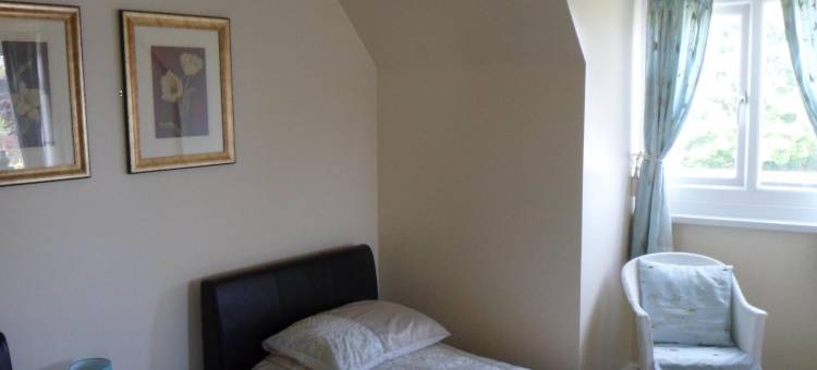 鞋子酒店(The Shoes)图片