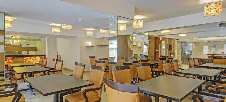 Treebo Sunheads图片