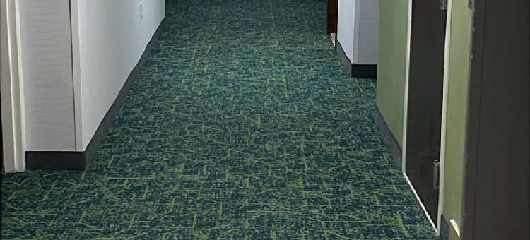 Spark by Hilton Macon North图片