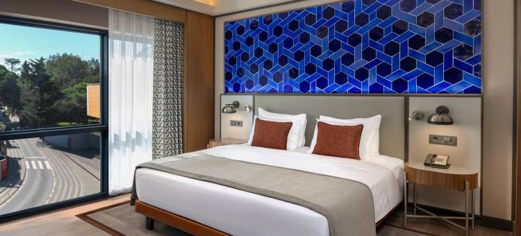 美居伊斯坦布尔 Altunizade 酒店(Mercure Istanbul Altunizade)图片