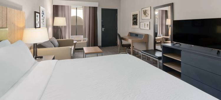 埃尔帕索西桑兰公园假日酒店(Holiday Inn El Paso West – Sunland Park)图片