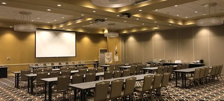 Holiday Inn & Suites 东皮奥里亚(Holiday Inn & Suites East Peoria)图片
