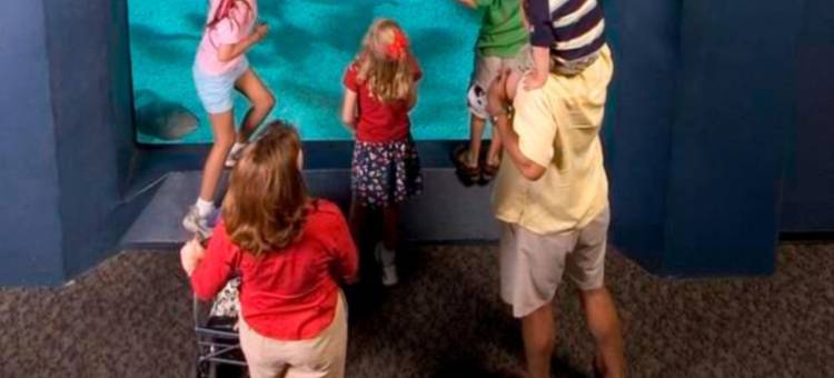 威尔明顿／莱茨维尔比奇万豪TownePlace酒店(TownePlace Suites Wilmington/Wrightsville Beach)图片