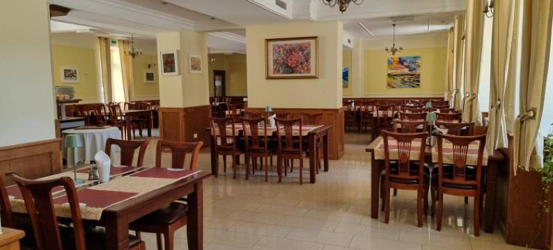 卢卡宫酒店(Rezydencja Pałac Lucja BB)图片