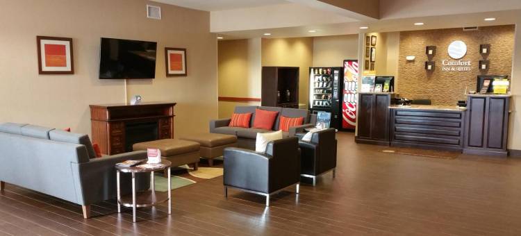 湖畔汽车舒适酒店及套房(Comfort Inn & Suites Lakeside)图片