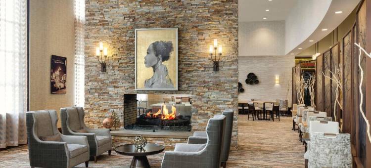 查塔努加汉密尔顿广场希尔顿安泊酒店(Embassy Suites by Hilton Chattanooga Hamilton Place)图片