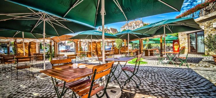 锡吉什瓦拉卡瓦勒希尔顿逸林酒店(DoubleTree by Hilton Sighisoara - Cavaler)图片