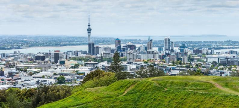 奥克兰格林莱恩伊迪特酒店(Edit Auckland Greenlane)图片