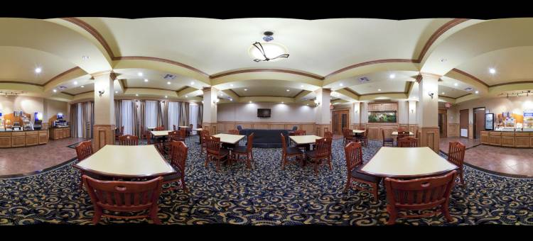 洲际智选假日酒店及套房科珀斯克里斯蒂西北 - 卡拉伦(Holiday Inn Express & Suites Corpus Christi NW - Calallen)图片