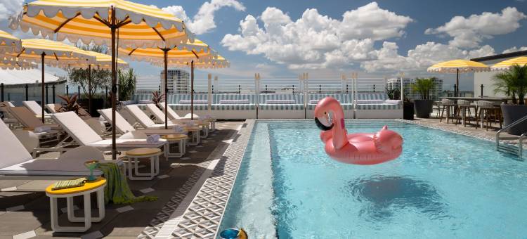 圣彼得堡市中心莫克西酒店(Moxy St. Petersburg Downtown)图片