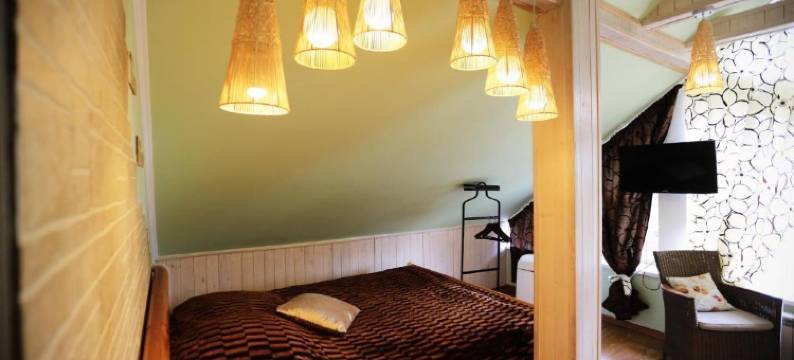 Golden Goose Guest House图片