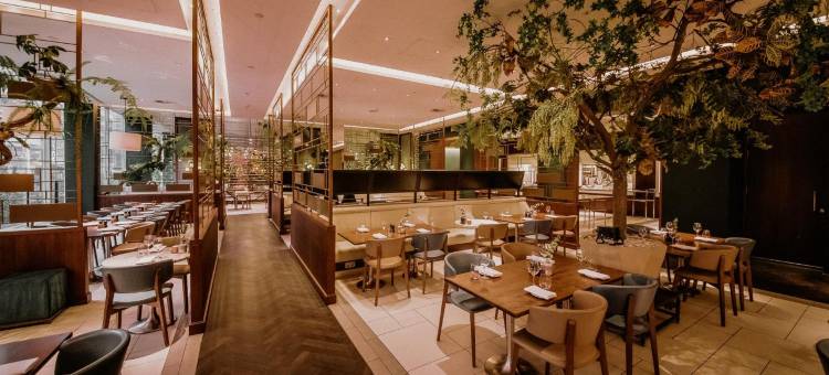 鹿特丹希尔顿酒店(Hilton Rotterdam)图片