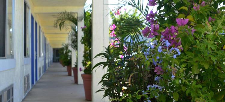 布雷登顿萨拉索塔美洲最佳价值酒店(Americas Best Value Inn Bradenton Sarasota)图片