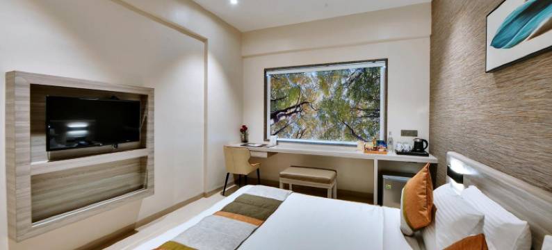 Click Hotel Pithampur图片