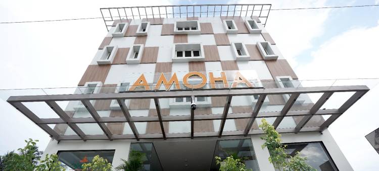 阿莫哈酒店(Hotel Amoha)图片