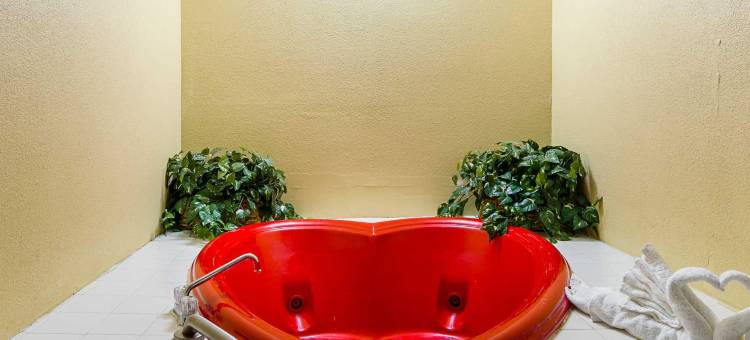 杰克逊维尔伊克诺旅馆 - 近小石城空军基地(Econo Lodge Jacksonville Near Little Rock Air Force Base)图片