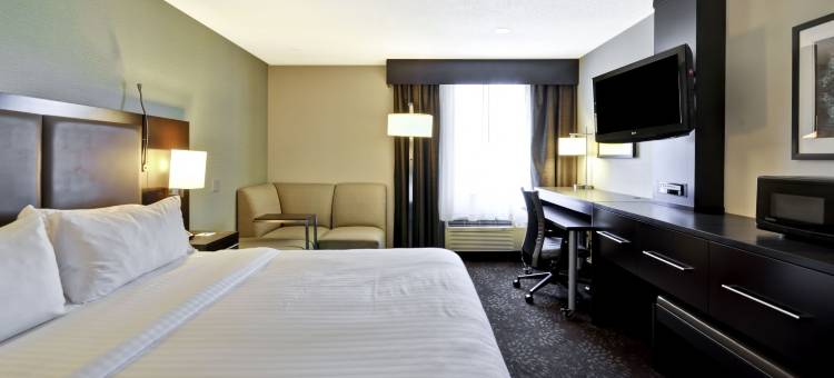 Holiday Inn Express 罗穆勒斯/底特律机场(Holiday Inn Express Romulus / Detroit Airport)图片