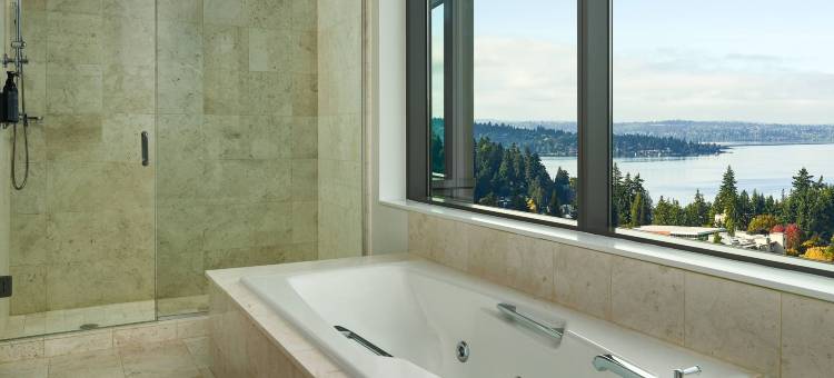 贝尔维尤威斯汀酒店(The Westin Bellevue)图片