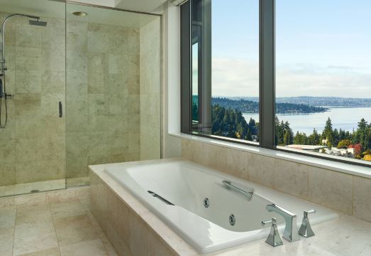 The Westin BellevueHotel Overview