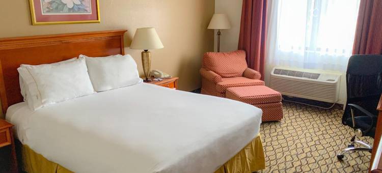 切尔西呗盟套房酒店(Baymont by Wyndham Chelsea)图片