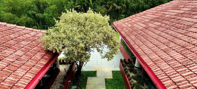 安玛蒂卡德卡尼河度假村(Kadkani River Resort Coorg)图片