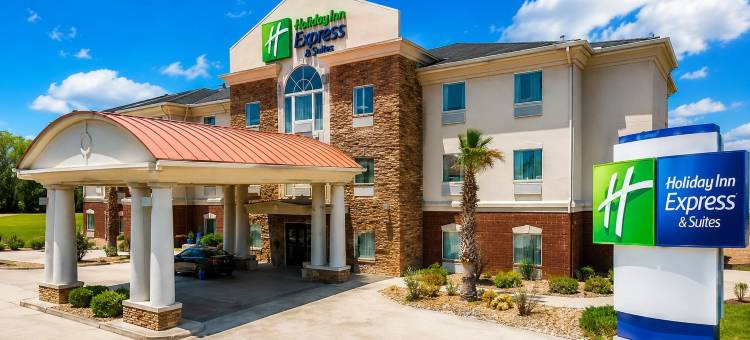 凯尼迪智选假日酒店(Holiday Inn Express Kenedy by IHG)图片