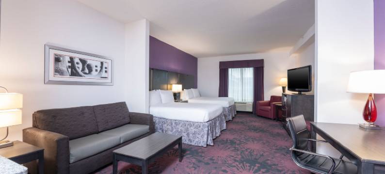 智选假日套房酒店哥伦布 - 北极星大路(Holiday Inn Express & Suites COLUMBUS - POLARIS PARKWAY by IHG)图片
