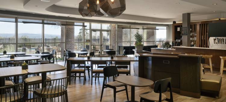 奥本万豪SpringHill Suites酒店(SpringHill Suites Auburn)图片