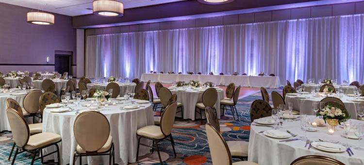 奥斯汀乔治敦喜来登酒店和会议中心(Sheraton Austin Georgetown Hotel & Conference Center)图片