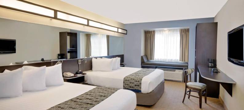 日内瓦麦客达套房酒店(Microtel Inn & Suites by Wyndham Geneva)图片