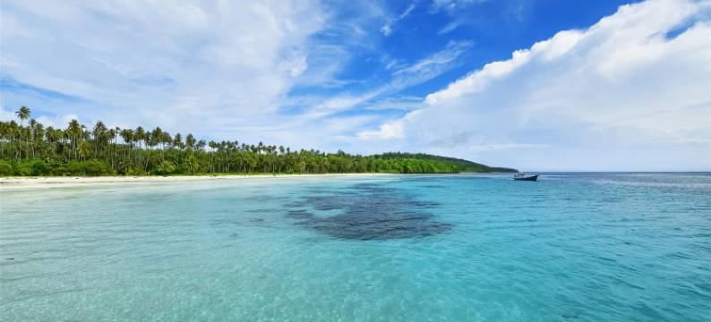 Lyn Urban by Atmosfera图片