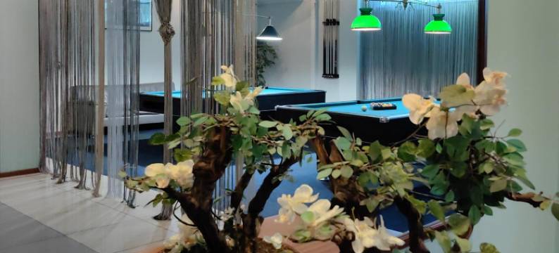 弗拉基米尔广场公寓(Vladimir Plaza)图片