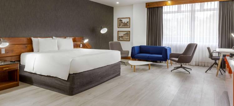 哥斯达黎加圣何塞丽笙酒店(Radisson San Jose Costa Rica)图片