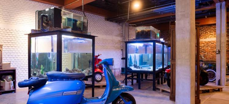 "锡兰国王花园酒店"(Ceylon Kingsmen Garden Hotel - Katunayake)图片