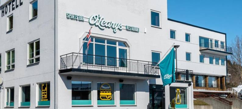 巴都弗斯酒店(Bardufoss Hotell)图片