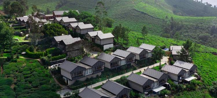 阿亚塔纳乌提(Ayatana Ooty)图片