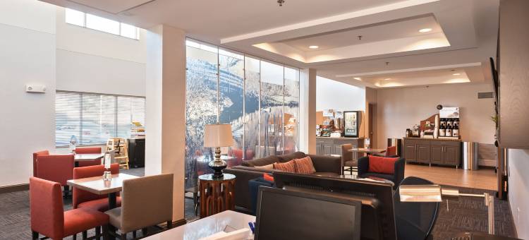 洲际酒店集团智选假日酒店及套房查纳森(Holiday Inn Express & Suites Chanhassen)图片