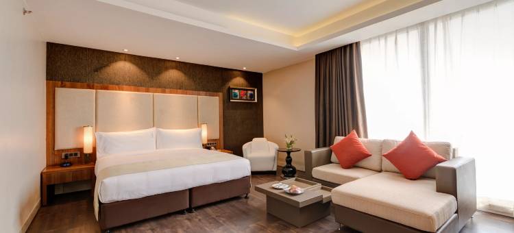 加尔各答机场假日酒店(Holiday Inn Kolkata Airport,)图片