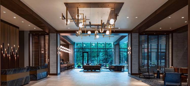 康罗凯悦酒店(Hyatt Regency Conroe)图片