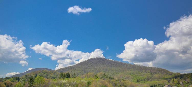 布恩 - 大学区凯艺套房酒店(Quality Inn & Suites Boone - University Area)图片