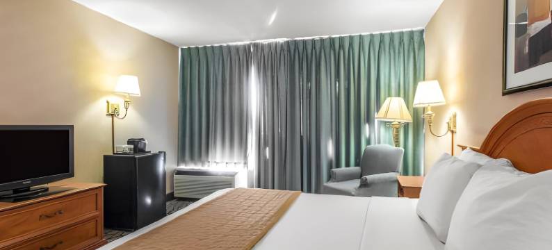 凯隆酒店-阿纳海姆度假村(Clarion Hotel Anaheim Resort)图片