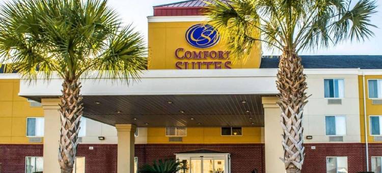 弗利北部湾岸舒适套房酒店(Comfort Suites Foley - North Gulf Shores)图片