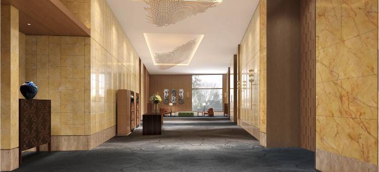 耶路撒冷洲际酒店，洲际(InterContinental Hotels JERUSALEM by IHG)图片