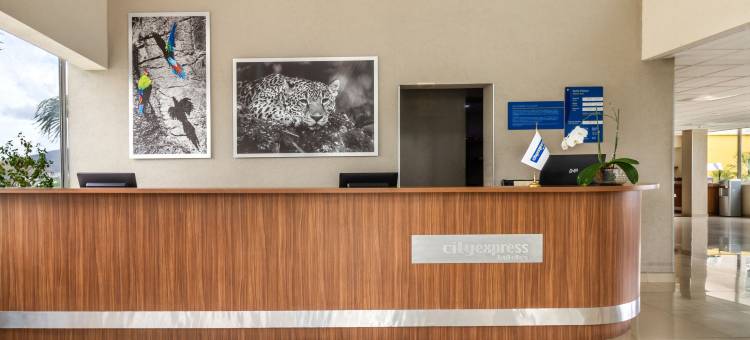 图斯特拉古铁雷斯都市快捷酒店(City Express by Marriott Tuxtla Gutierrez)图片