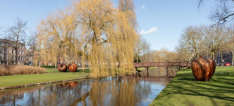 Sonder 米德兰(Sonder Middelland)图片